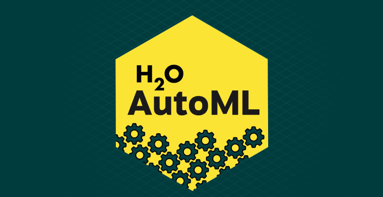 H2O Auto ML