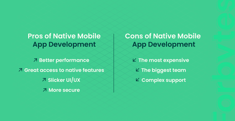pros and cons of native mobile app development