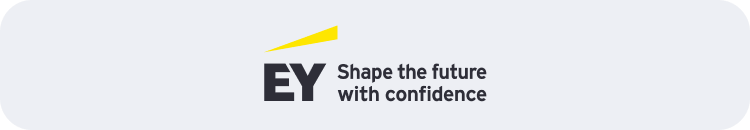 A Technical Due Diligence Service Company