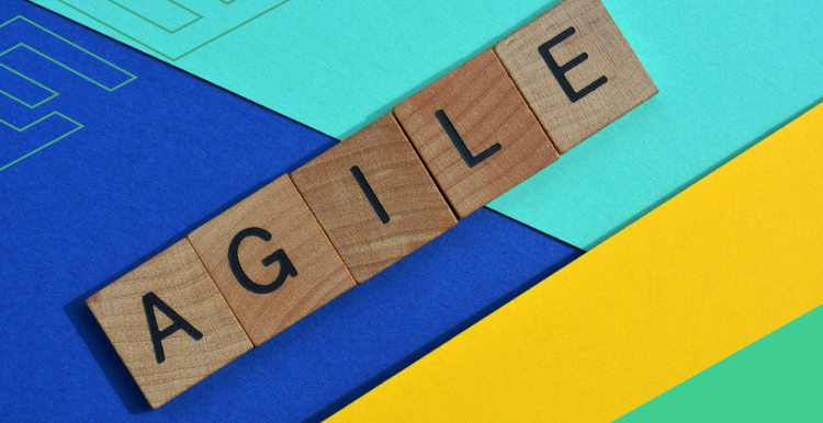 How the Agile Software Development Life Cycle Really Works