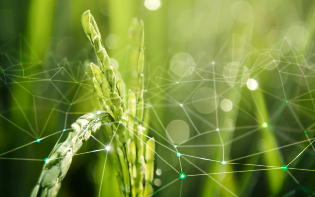 AI in Agriculture: Grow More, Waste Less, Farm Smarter