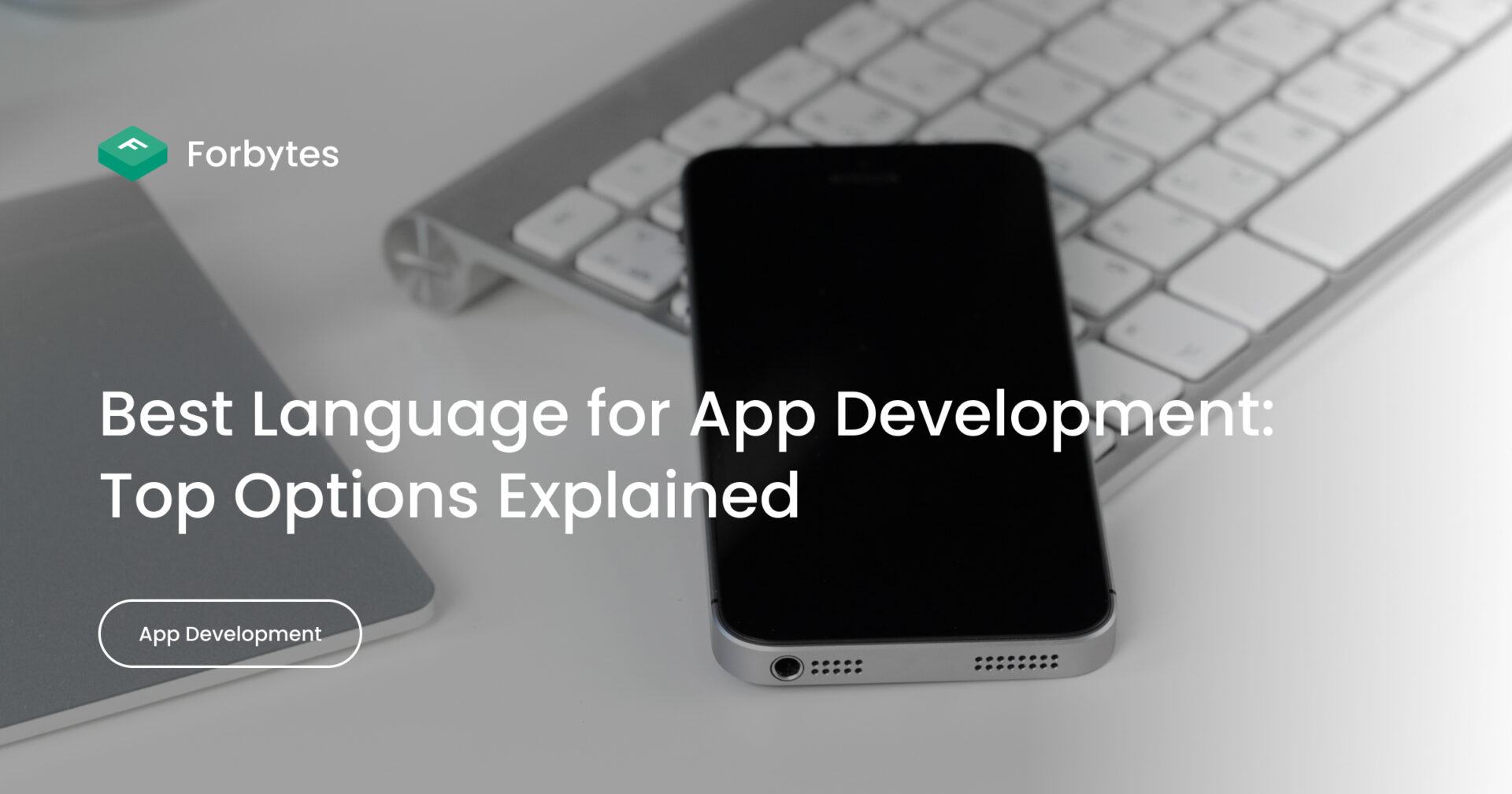 Best Language for App Development: Top Options Explained