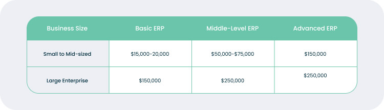How Much Do ERP Development Services Cost?
